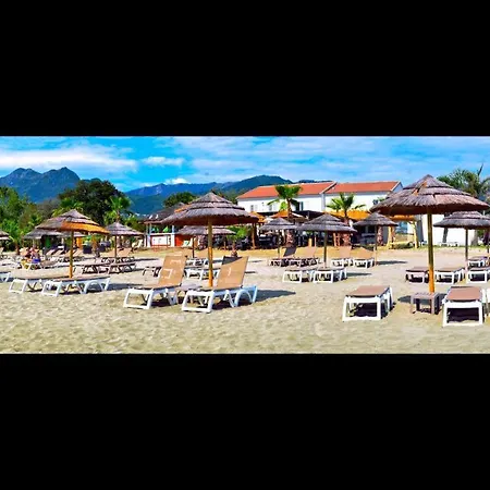 Apartman Apartment On The Sea - Moriani Beach *