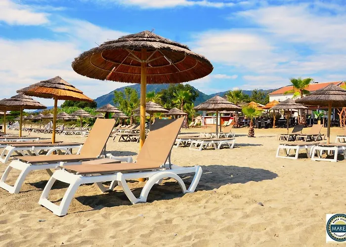 On The Sea - Moriani San-Nicolao